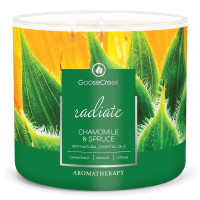 Chamomile & Spruce - Radiate 3-Wick-Candle 411g