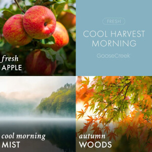 Cool Harvest Morning 3-Wick-Candle 411g