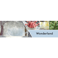 Wonderland flüssige Schaum-Handseife 270ml
