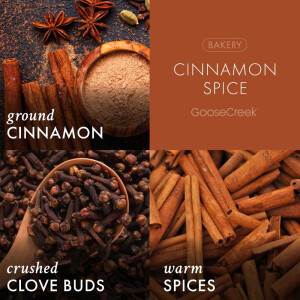 Cinnamon Spice 3-Docht-Kerze 411g