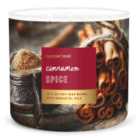 Cinnamon Spice 3-Wick-Candle 411g