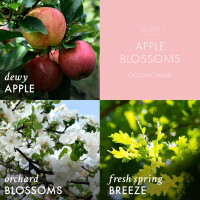 Apple Blossoms 3-Wick-Candle 411g