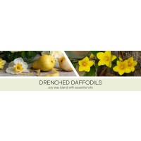 Drenched Daffodils 3-Docht-Kerze 411g