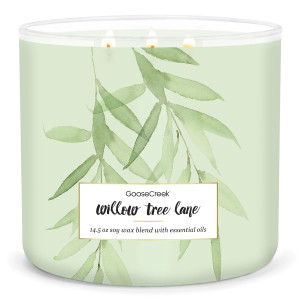 Willow Tree Lane 3-Docht-Kerze 411g