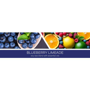 Blueberry Limeade 1-Docht-Kerze 198g