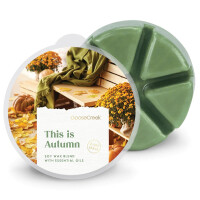 This is Autumn Waxmelt 59g