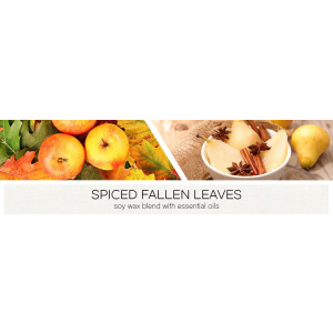 Spiced Fallen Leaves 1-Docht-Kerze 198g