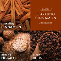 Sparkling Cinnamon 3-Wick-Candle 411g