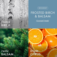 Frosted Birch & Balsam 3-Docht-Kerze 411g