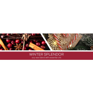 Winter Splendor 1-Docht-Kerze 198g