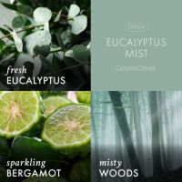 Eucalyptus Mist Waxmelt 59g