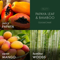 Papaya Leaf & Bamboo 3-Wick-Candle 411g
