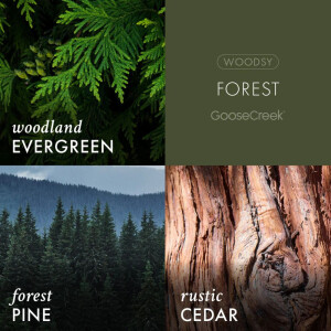 Forest 3-Wick-Candle 411g