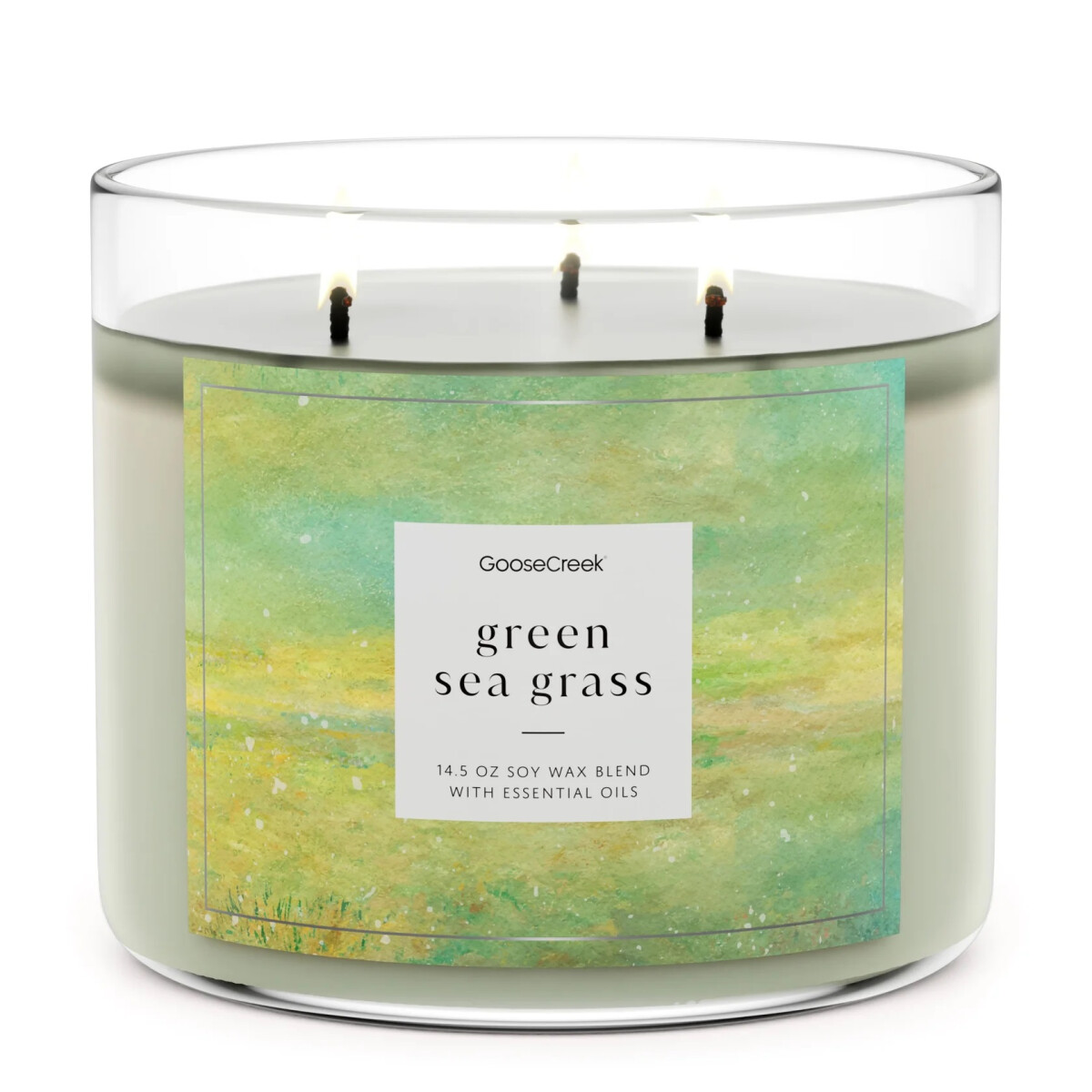 Green Sea Grass 3-Docht-Kerze 411g, 15,00 €