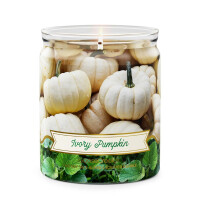 Ivory Pumpkin 1-Docht-Kerze 198g