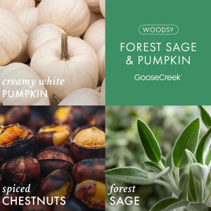 Forest Sage & Pumpkin 3-Wick-Candle 411g