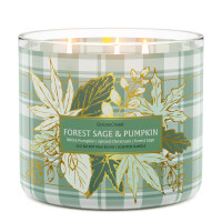 Forest Sage & Pumpkin 3-Wick-Candle 411g
