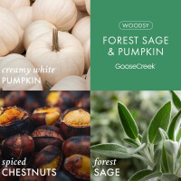 Forest Sage & Pumpkin 3-Wick-Candle 411g