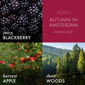 Autumn in Amsterdam 3-Wick-Candle 411g