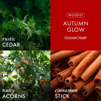Autumn Glow 3-Docht-Kerze 411g