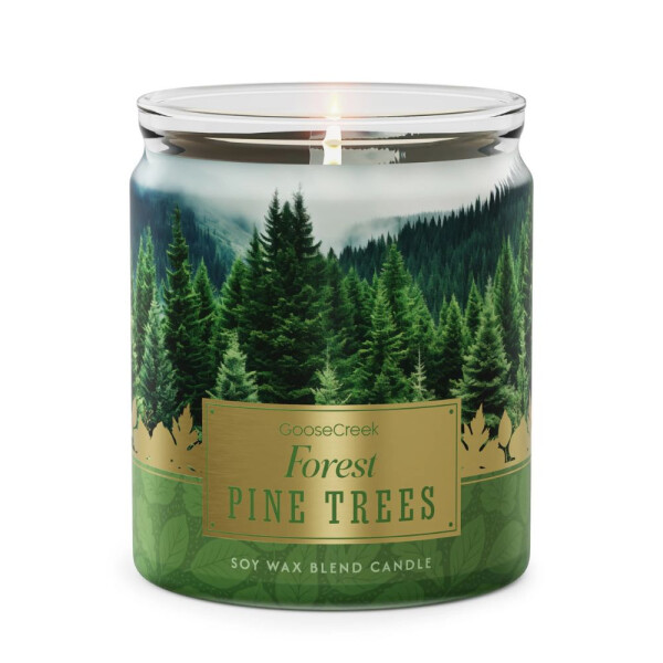 Forest Pine Trees 1-Docht-Kerze 198g