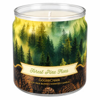 Forest Pine Trees 1-Docht-Kerze 198g