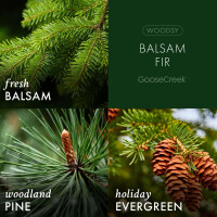 Balsam Fir 3-Docht-Kerze 411g