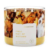 First Day of Autumn 3-Docht-Kerze 411g