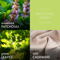 Patchouli Leaves 3-Docht-Kerze 411g