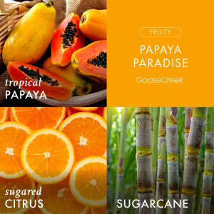 Papaya Paradise 3-Docht-Kerze 411g