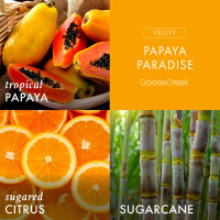 Papaya Paradise 3-Docht-Kerze 411g
