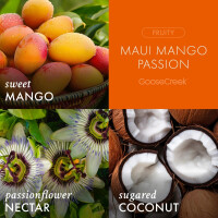 Maui Mango Passion 3-Docht-Kerze 411g