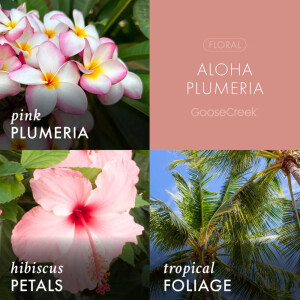 Aloha Plumeria 3-Docht-Kerze 411g