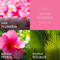 Aloha Plumeria 3-Wick-Candle 411g