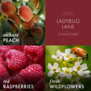 Ladybug Lane 3-Docht-Kerze 411g