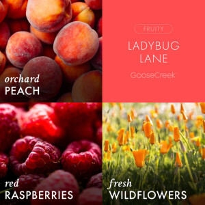 Ladybug Lane 3-Docht-Kerze 411g