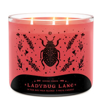 Ladybug Lane 3-Wick-Candle 411g