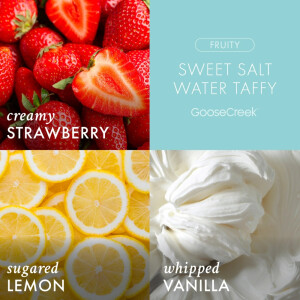 Sweet Salt Water Taffy Waxmelt 59g