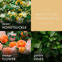 White Picket Honeysuckle 3-Wick-Candle 411g