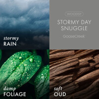 Stormy Day Snuggle 3-Docht-Kerze 411g