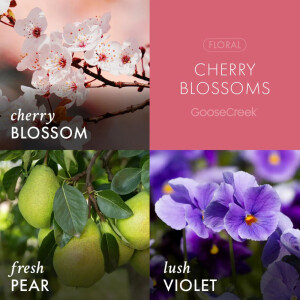 Cherry Blossoms Body Mist 236ml