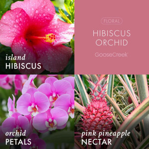 Hibiscus Orchid 3-Wick-Candle 411g