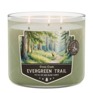 Evergreen Trail 3-Docht-Kerze 411g