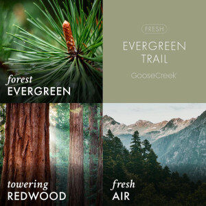 Evergreen Trail 3-Docht-Kerze 411g