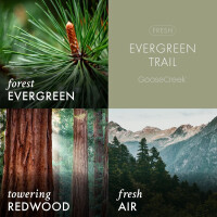 Evergreen Trail 3-Docht-Kerze 411g