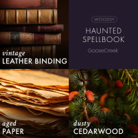 Haunted Spellbook 3-Docht-Kerze 411g