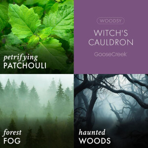Witchs Cauldron 3-Docht-Kerze 411g