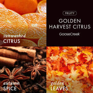 Golden Harvest Citrus 3-Docht-Kerze 411g