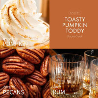 Toasty Pumpkin Toddy 3-Wick-Candle 411g