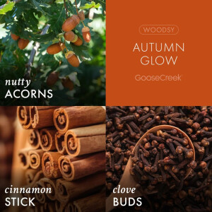 Autumn Glow 3-Wick-Candle 411g